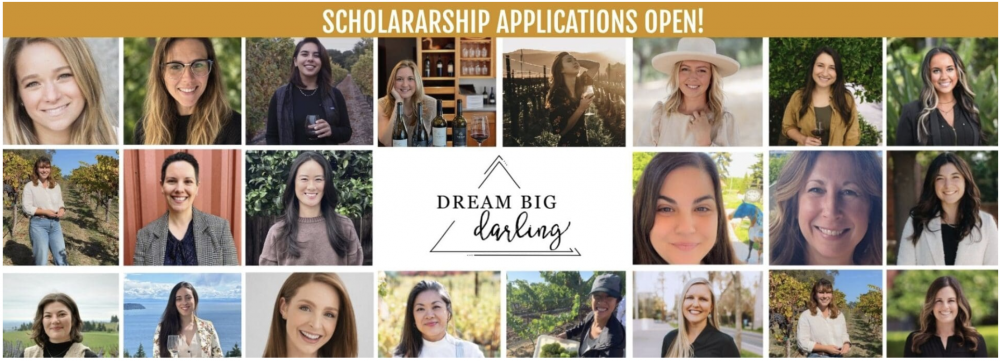 Scholarship Applications Now Open for 6 Month Professional Development Program