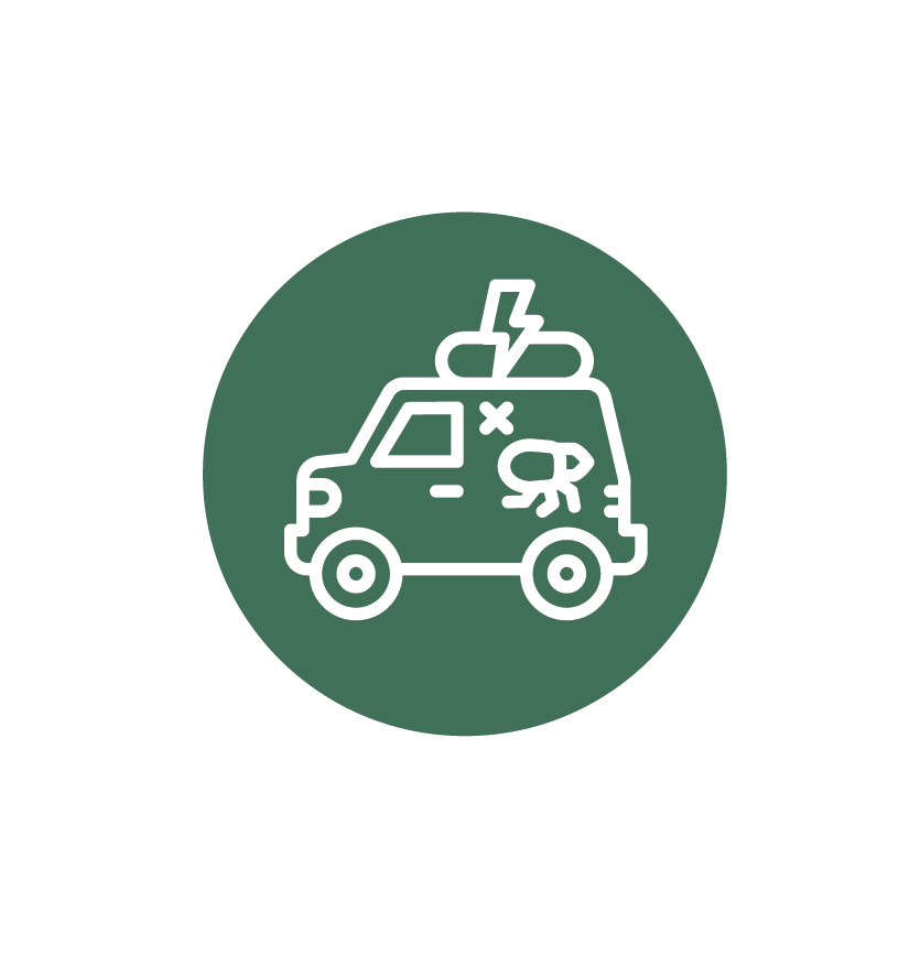 Professional Pathways in Pest Control