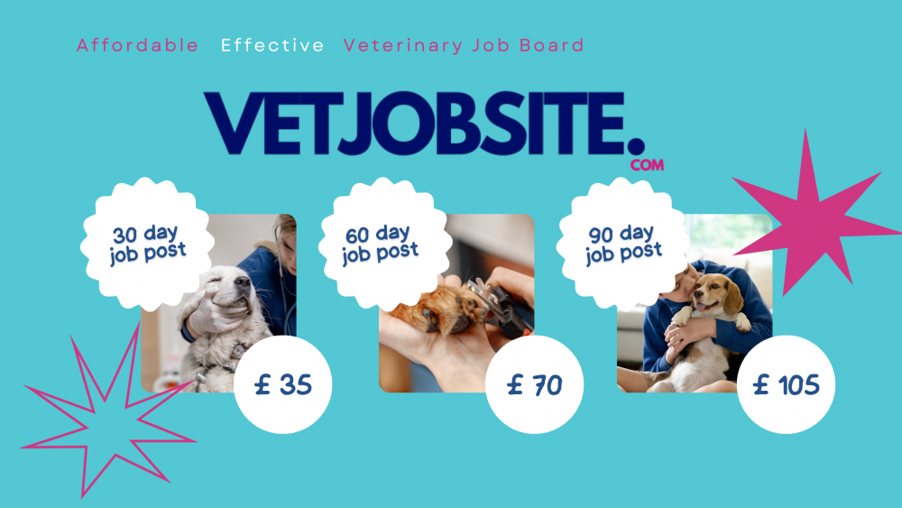 Find Your Next Veterinary Hire with VetJobSite.com — Affordable, Effective, and Designed for Your Practice