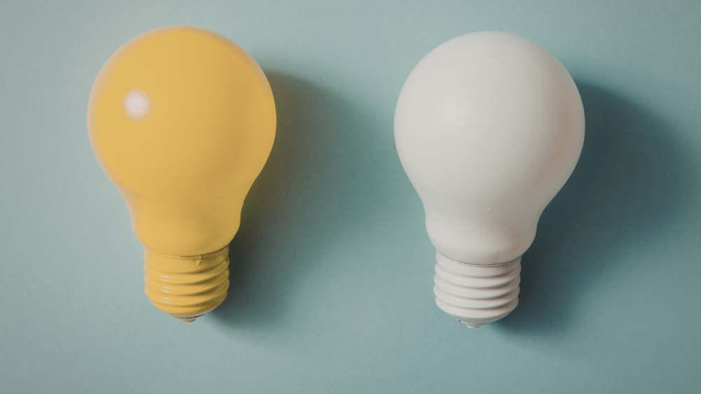 The Key Differences Between B2B and B2C Paid Media Careers