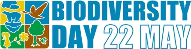 Roam Responsibly: What International Day for Biological Diversity Means for Digital Nomads