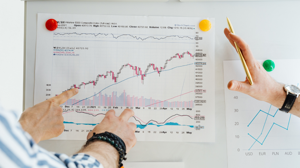 How to Build a Paid Media Portfolio With Real Campaign Examples