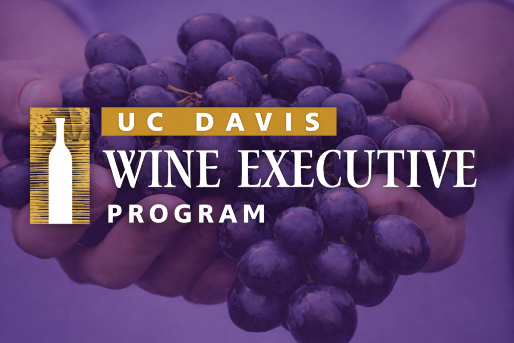 UC Davis Wine Executive Program: From Grape to Table