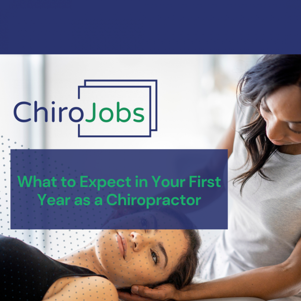 What to Expect in Your First Year as a Chiropractor