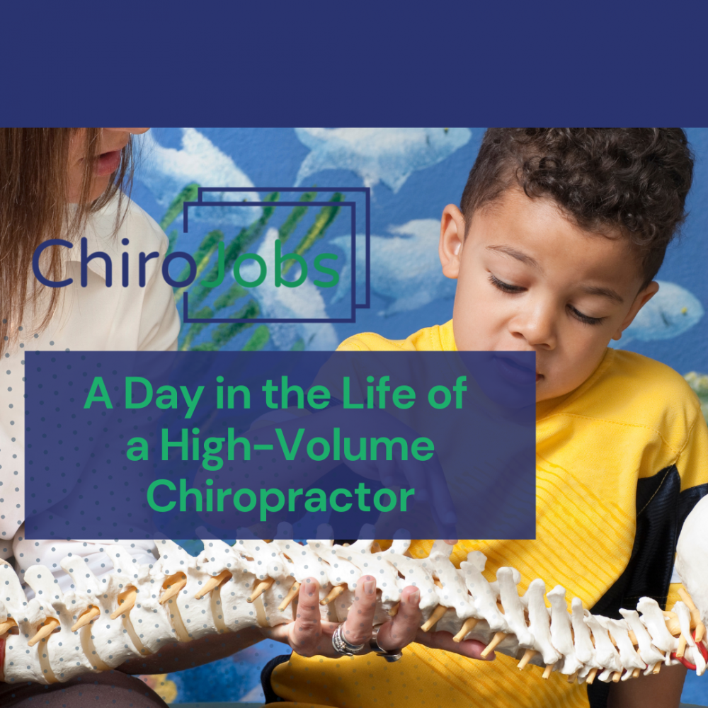 A Day in the Life of a High-Volume Chiropractor
