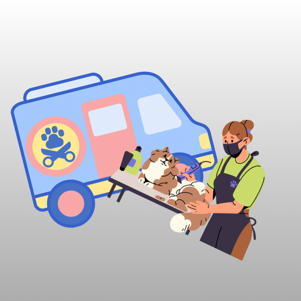 Mobile Grooming vs. On-Site Grooming: Which Path Is Right for You?