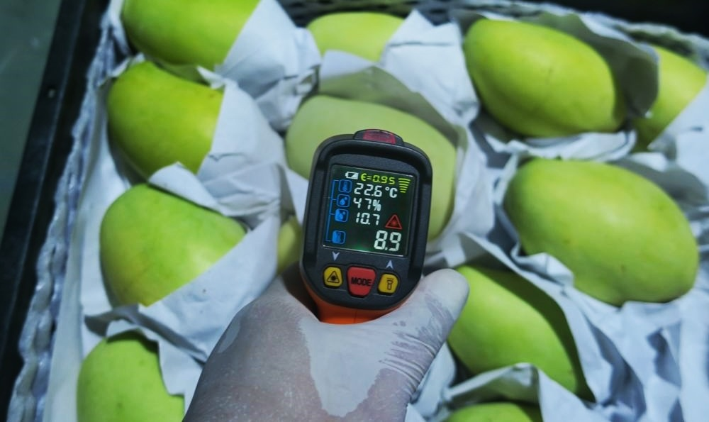 Welke Kwaliteit vacatures zijn er in de groente & fruit branche?