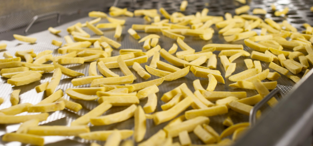 Belangrijkste aardappel bedrijven in Nederland (vers, frites & chips)