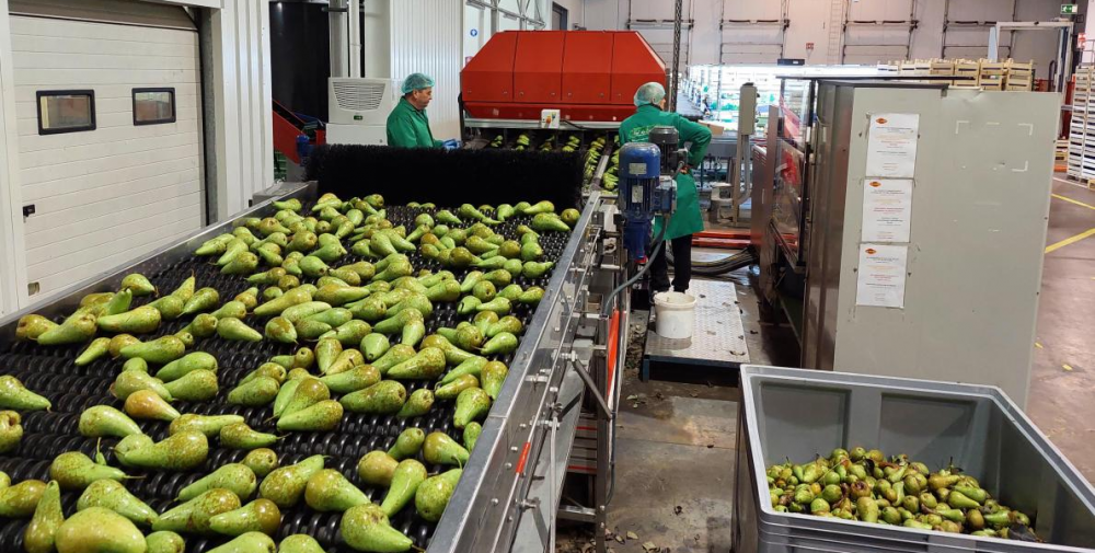 Welke Operationele vacatures zijn er in de groente & fruit branche?
