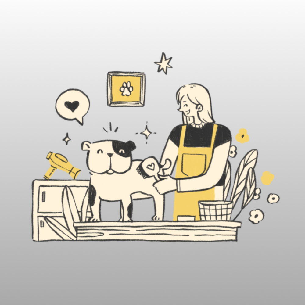 From Clippers to Careers: Building a Future in Dog Grooming