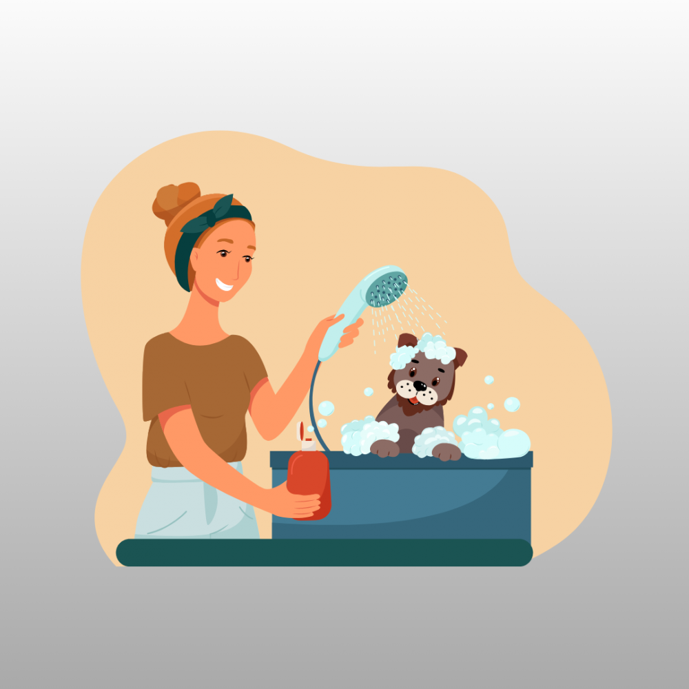 How to Get a Job as a Dog Bather (Even If You're Just Starting Out)