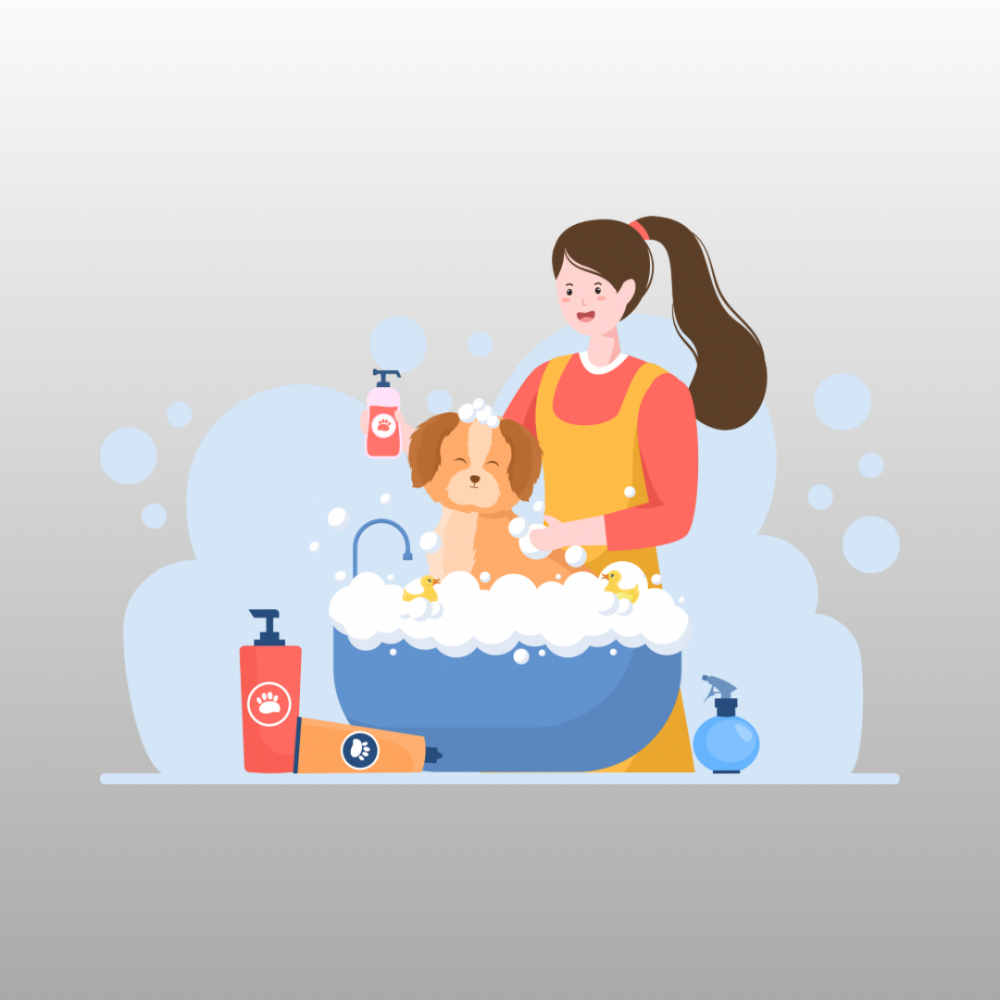 🛁 Top 3 Grooming Tubs for Professional Groomers (2025 Edition)