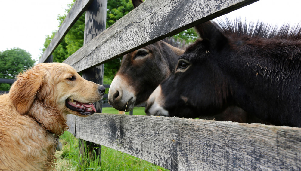 Where Does Networking End and the Hiring Process Begin?