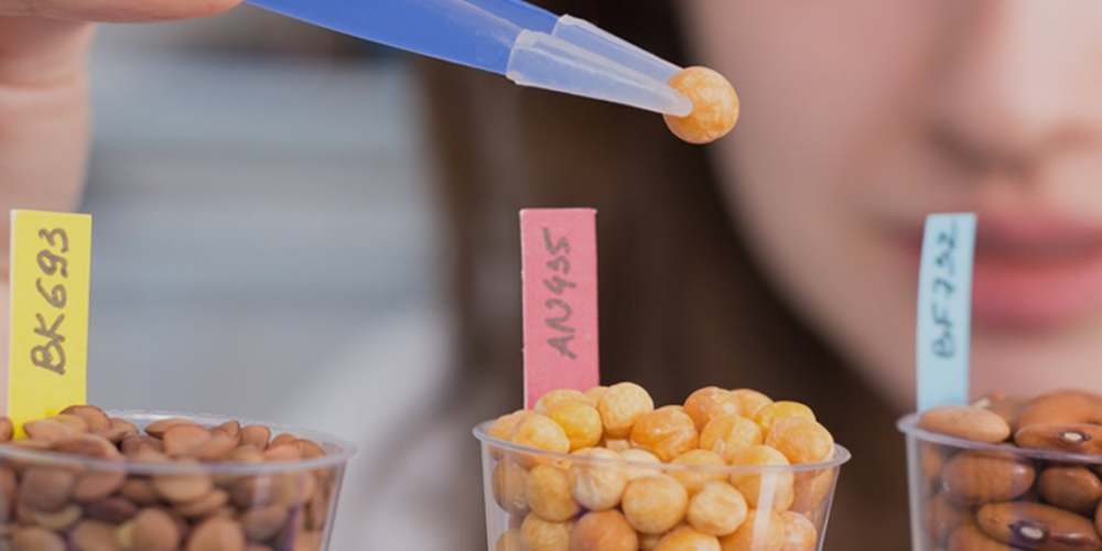 Welke Kwaliteit vacatures zijn er in de ingredients branche?