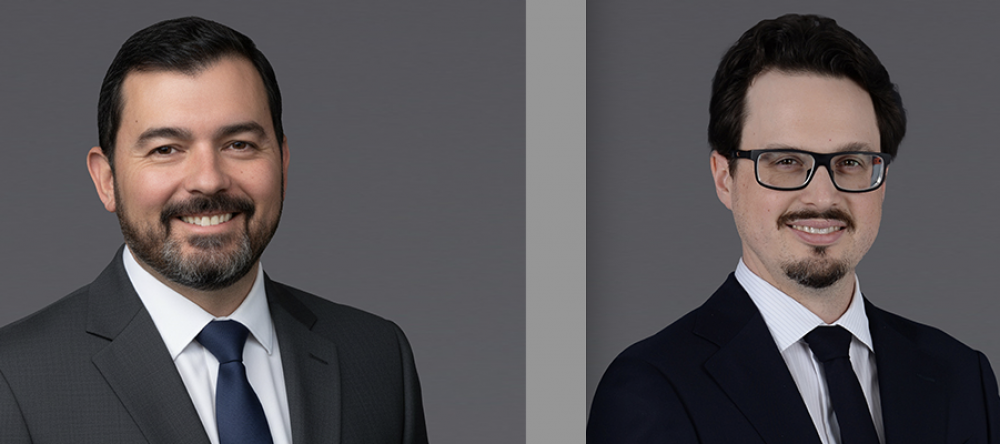 Appian Capital Advisory expands technical team