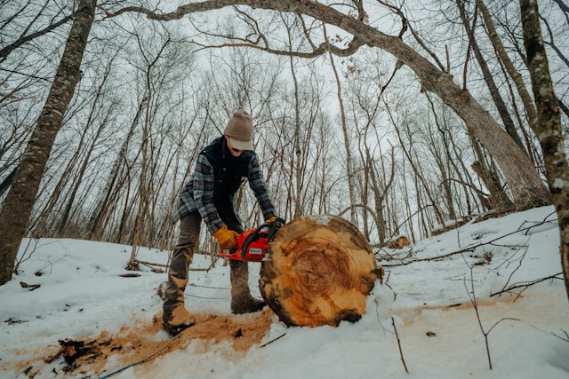 Maine Employee Benefits Required by Law