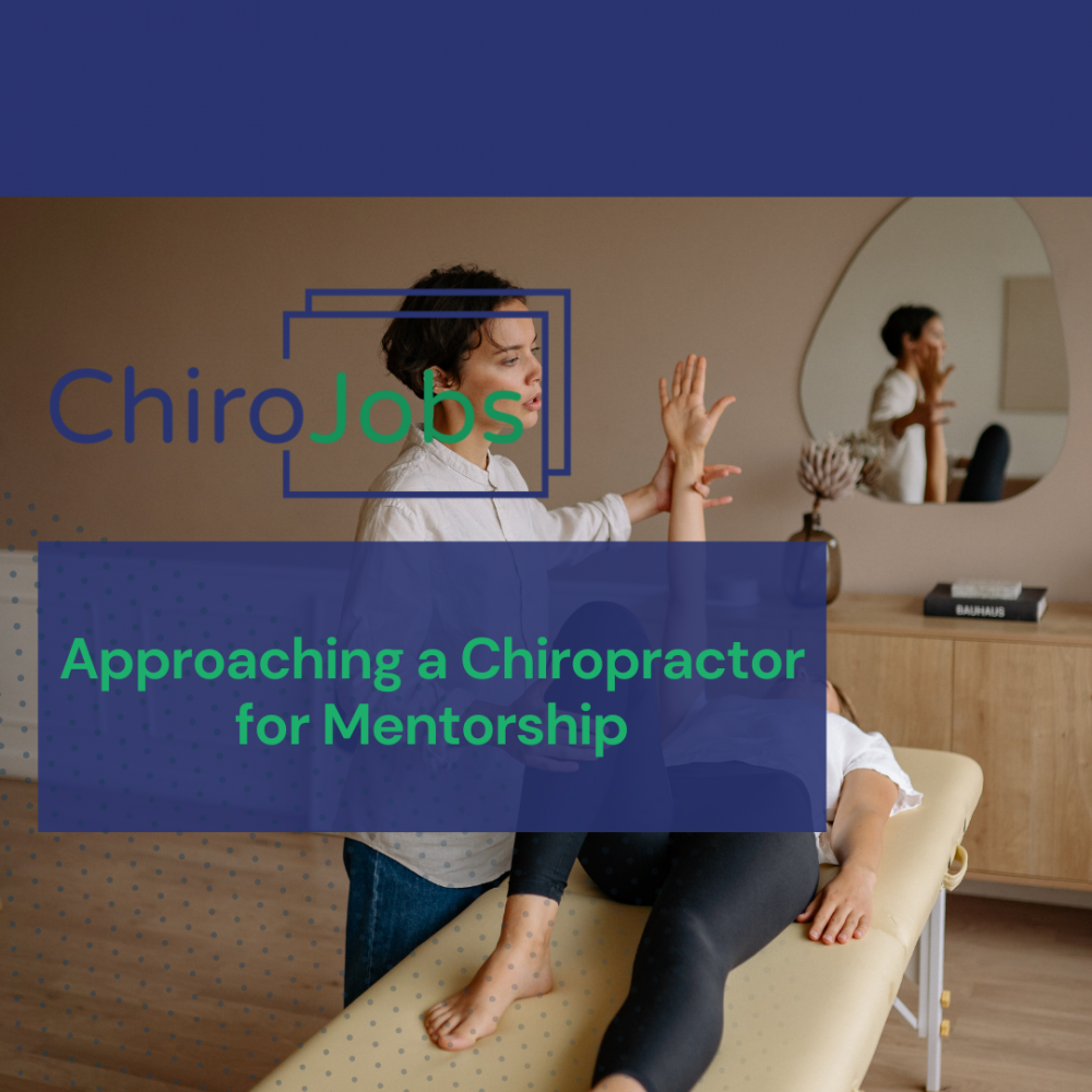 How to Approach a Chiropractor for Mentorship (Without Being Awkward)