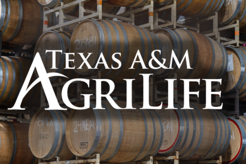 Texas Wine Builds Global Momentum in International Organization