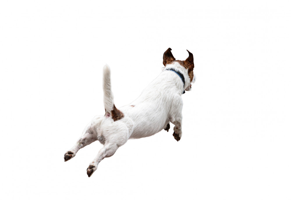 You Had Enough. What Now? Three Steps To Get Out