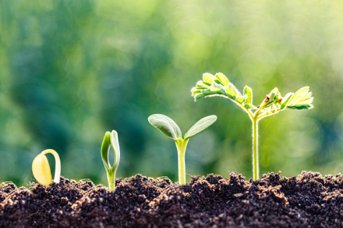 Careers in the Countryside: The State of Play