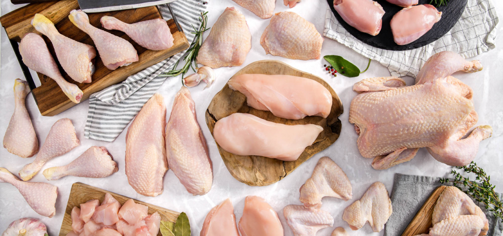 Belangrijkste kippenvlees bedrijven in Nederland