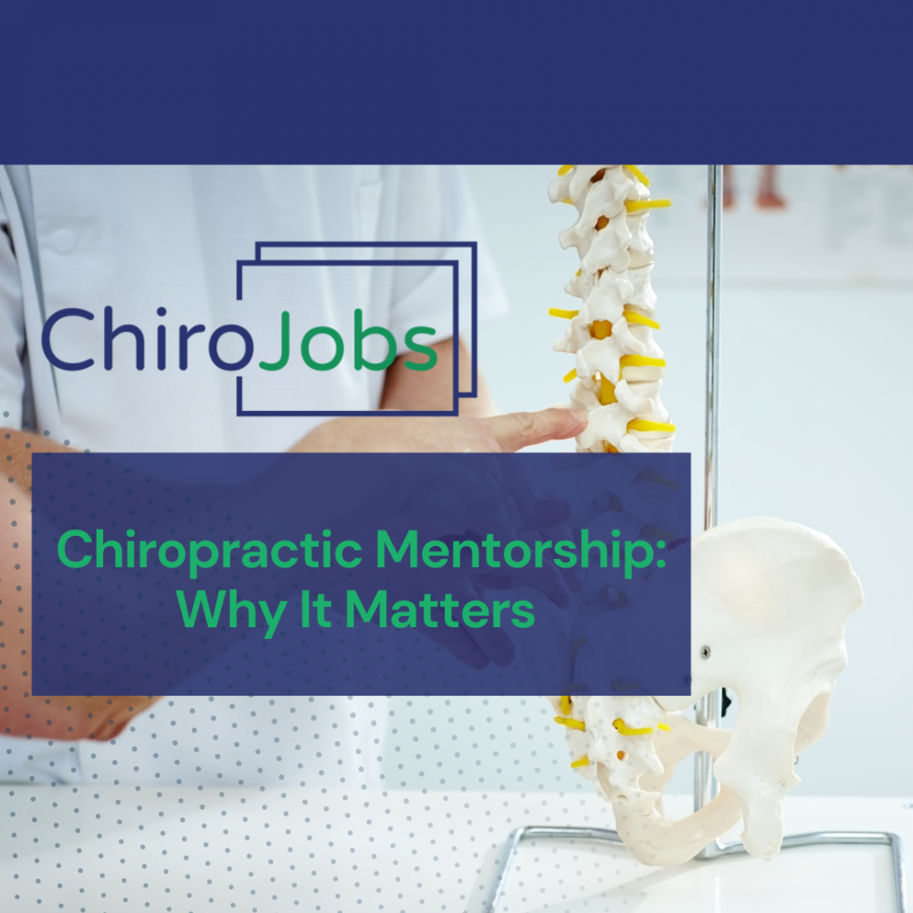 Chiropractic Mentorship: Why It Matters