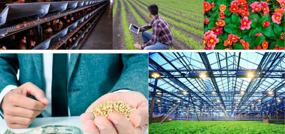 Agribusiness vacatures