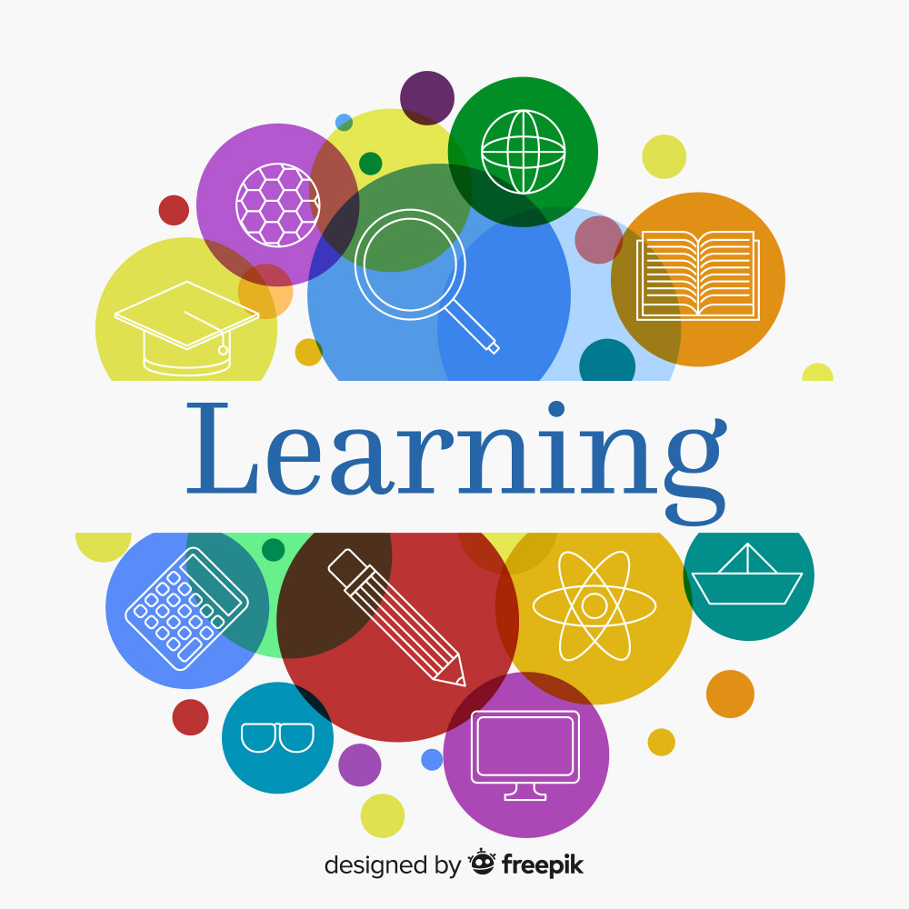 The 2026 "Learning Velocity" Standard: Why Experience is Losing Its Crown