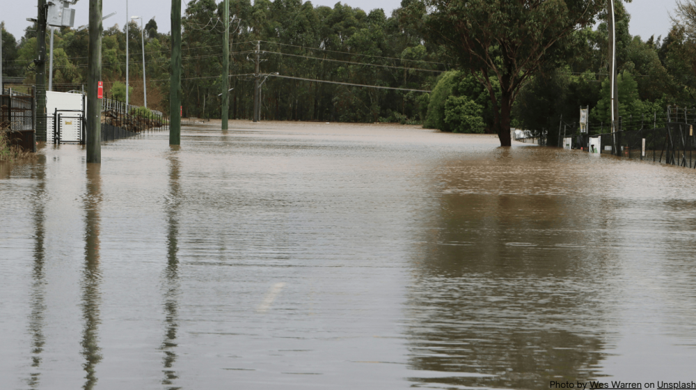 Reduce Flooding with Green