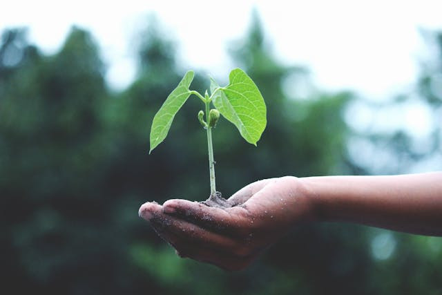 The Sheffield College becomes finalist in green skills award