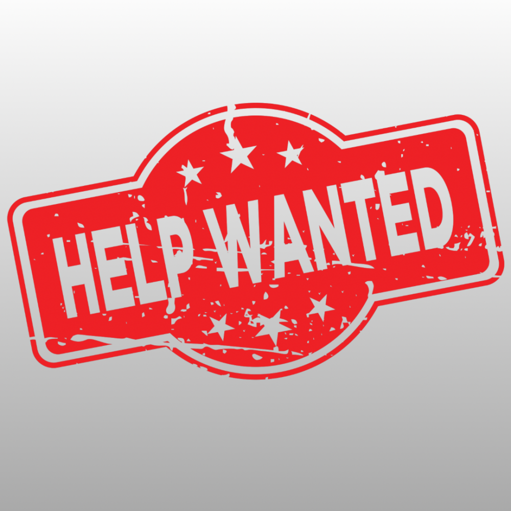 Dog Groomer Wanted Near Me: Why Your Next Great Hire is Searching for You Right Now