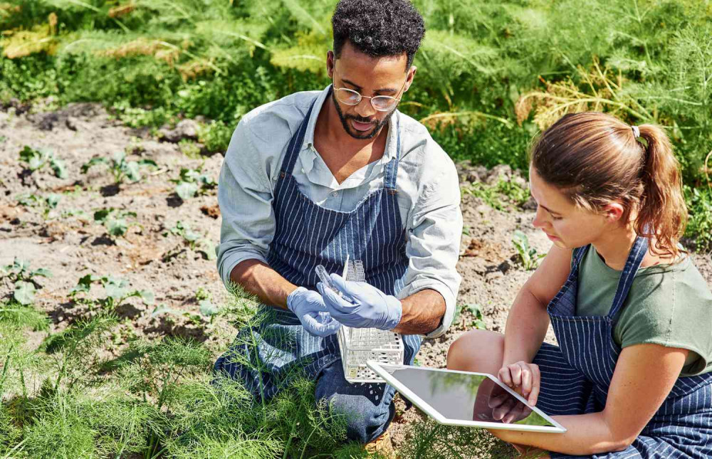 More UK School Leavers Choosing Green Jobs Over University