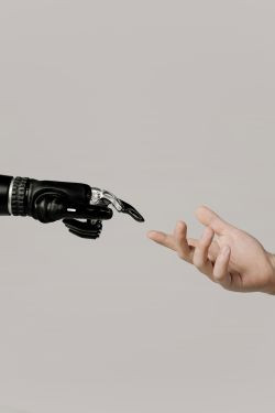 How to Thrive in the Administrative Industry—Even in the Age of AI