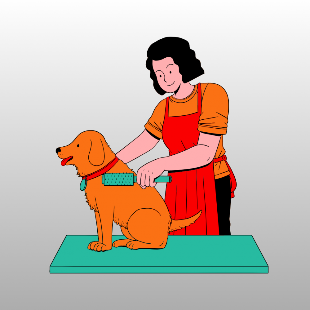 Duties of a Dog Groomer: More Than Just a Haircut