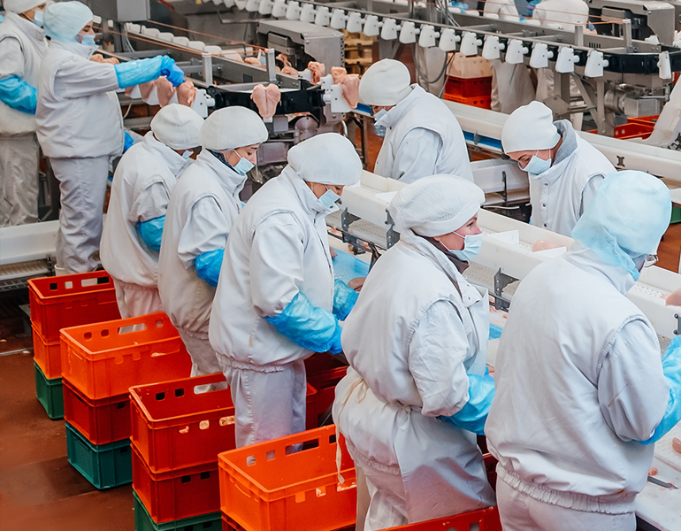 Welke Operationele vacatures zijn er in de vlees branche?