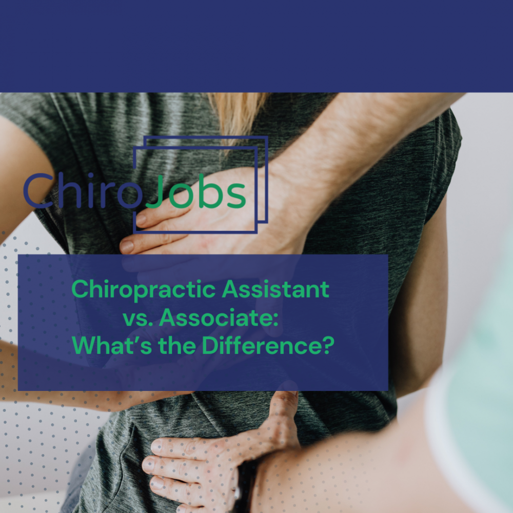 Chiropractic Assistant vs. Associate: What’s the Difference?