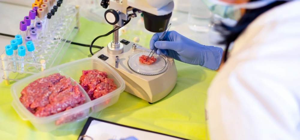 Welke Kwaliteit vacatures zijn er in de vlees branche?