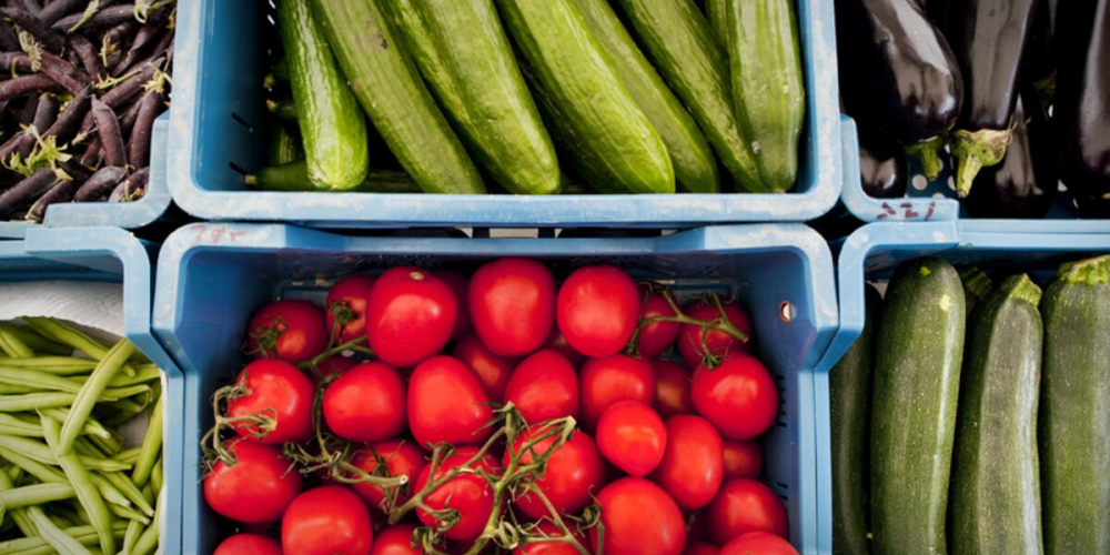 De belangrijkste Groente & Fruit bedrijven in Nederland