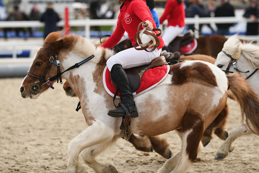 From Ranch Hands to Arena Stars: The Incredible Journey of Cutting Horse Competitions and the Unbeatable Quarter Horses Leading the Charge!