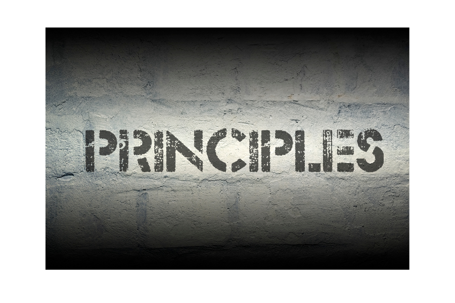 Principles of integrated and value-based Healthcare Course