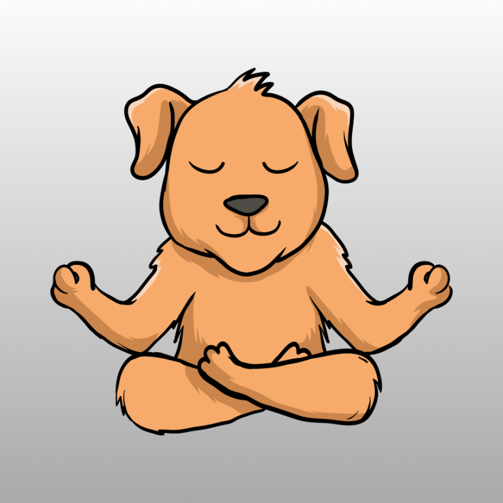 Holistic Dog Grooming: A Whole-Body Approach to Pet Wellness
