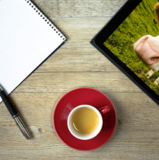 Autumn Budget overview - CAAV Podcast #77