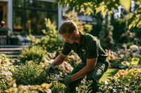 Property & Grounds jobs