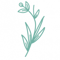 Beauty & Wellness jobs