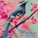 730 North Optometry