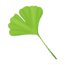 Akin Care Senior Services