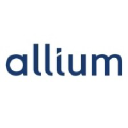 Allium