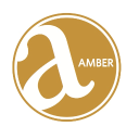 Amber Charter Schools