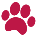American Animal Hospital