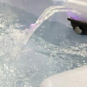 American Pools & Spas